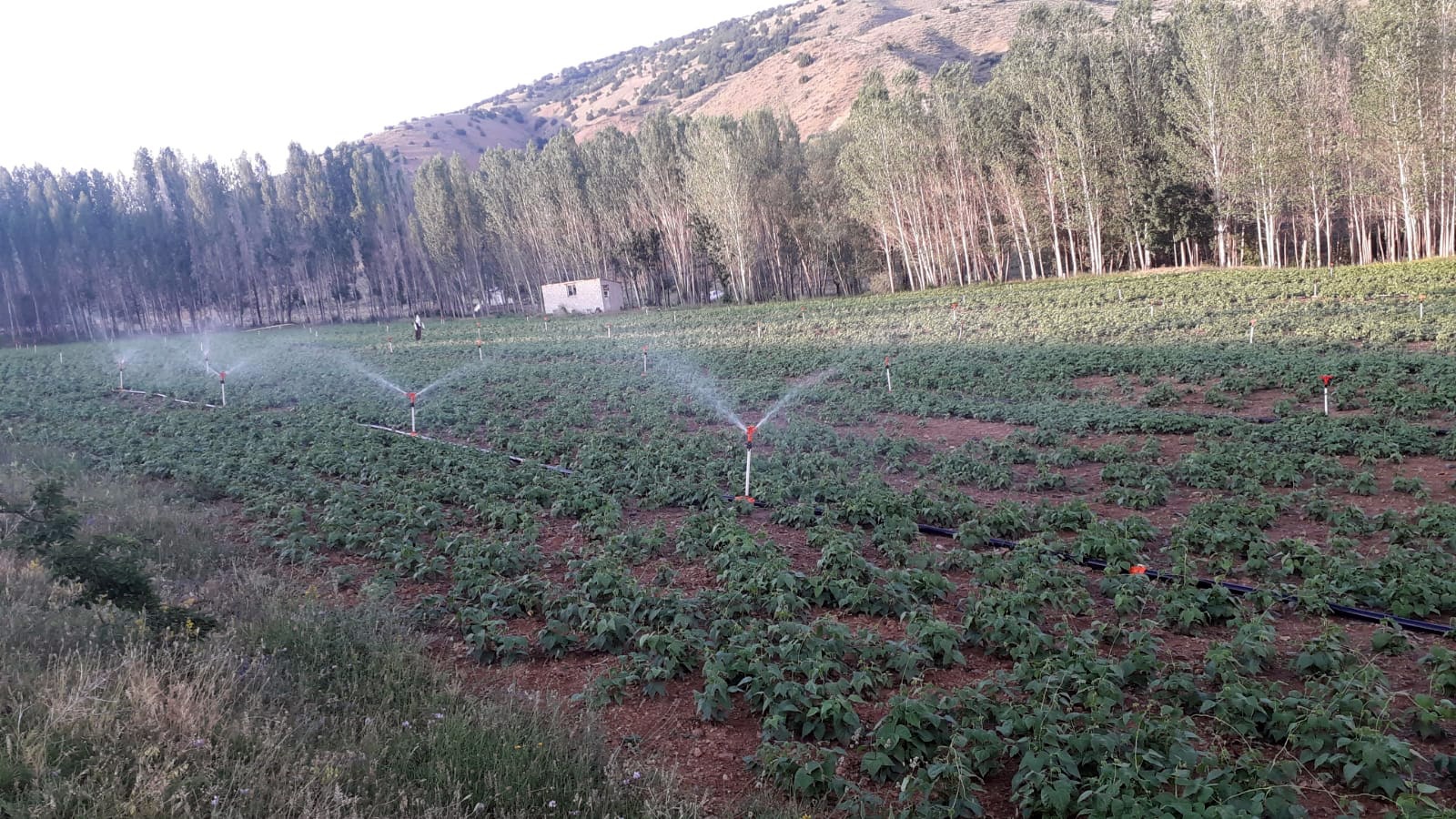 Gümüşhane’de 2020 yılında 113 bin 800 dekar tarım arazisi sulandı 1