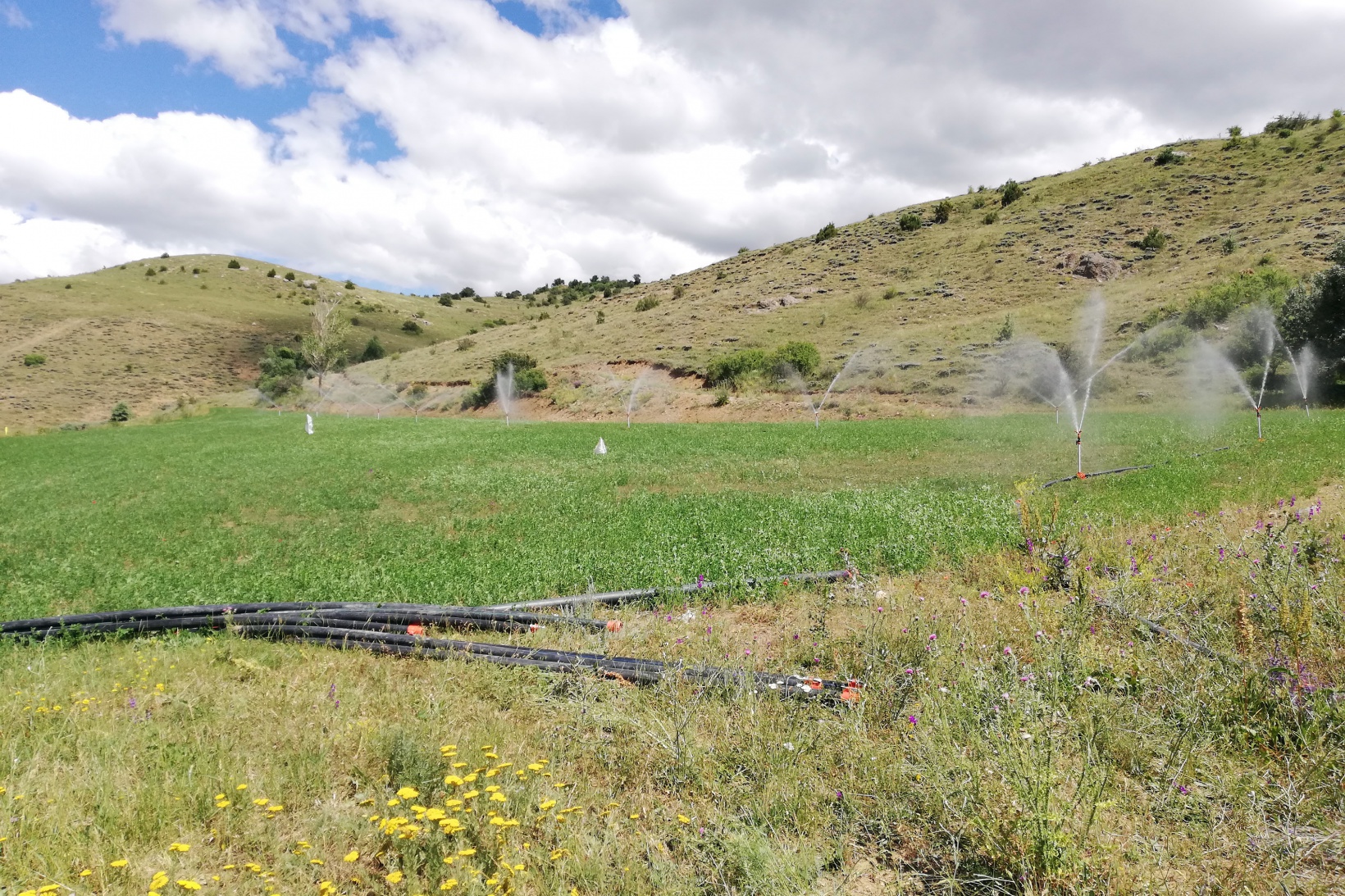 Gümüşhane’de 2020 yılında 113 bin 800 dekar tarım arazisi sulandı 7