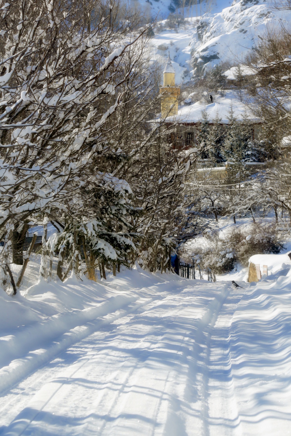 Tarihi kent beyaza büründü 16