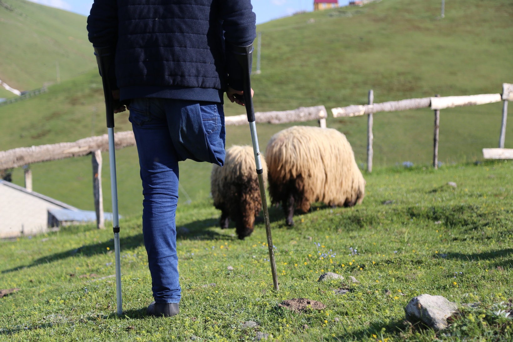 26 yıldır tek bacağıyla hayvanlarını otlatıyor 10