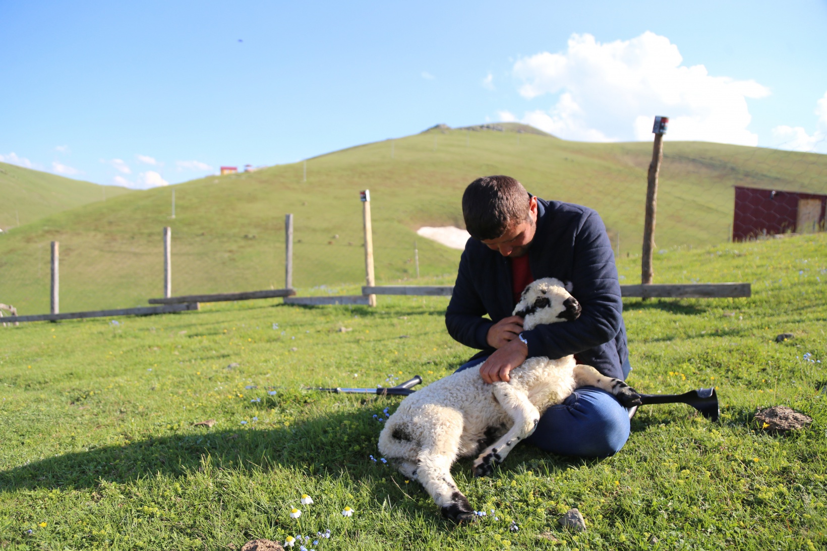 26 yıldır tek bacağıyla hayvanlarını otlatıyor 7