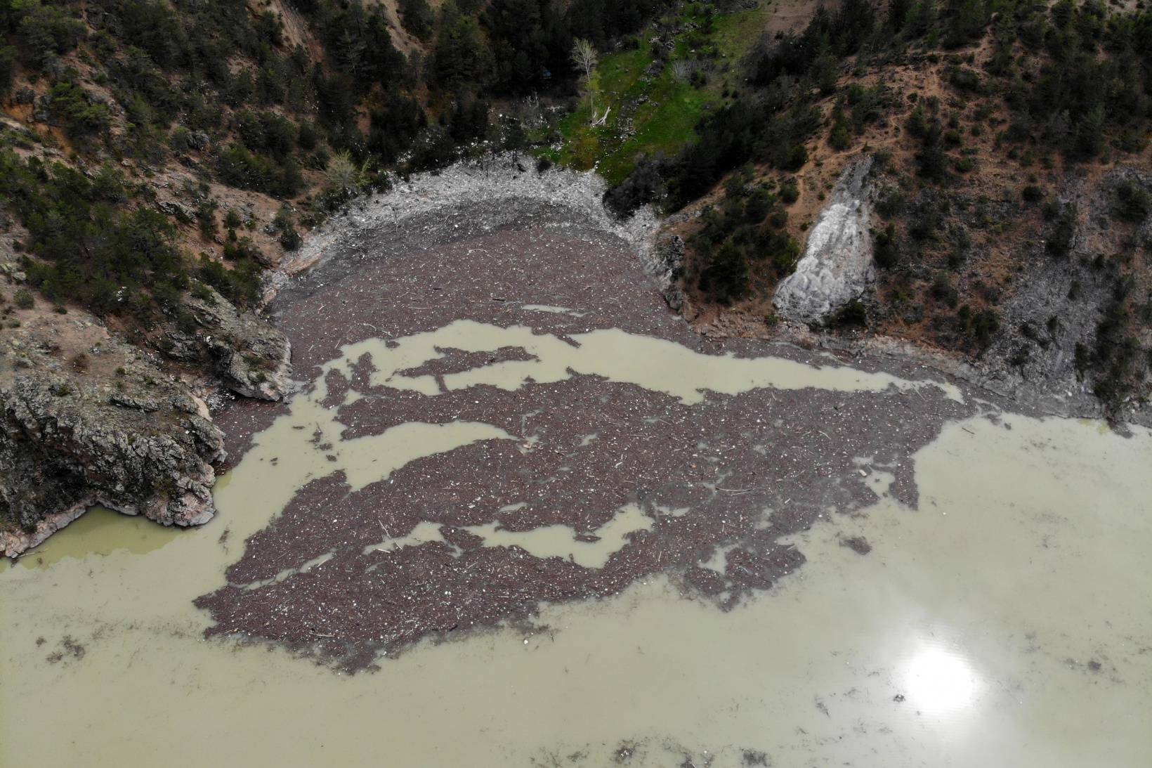Torul Baraj ‘Çöplüğü’nde yine aynı görüntü! 17
