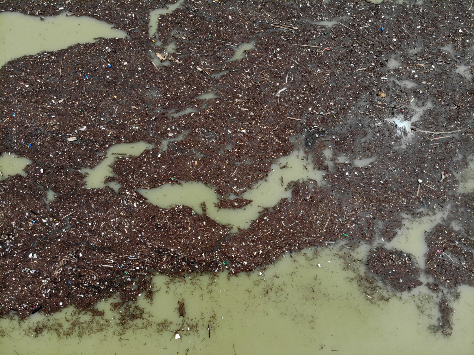 Torul Baraj ‘Çöplüğü’nde yine aynı görüntü! 11