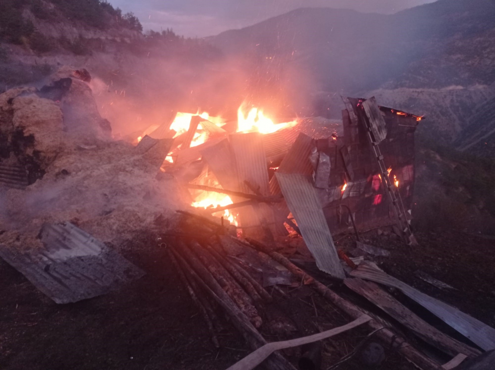 Torul’daki ahır yangınında 9 büyükbaş hayvan telef oldu 1