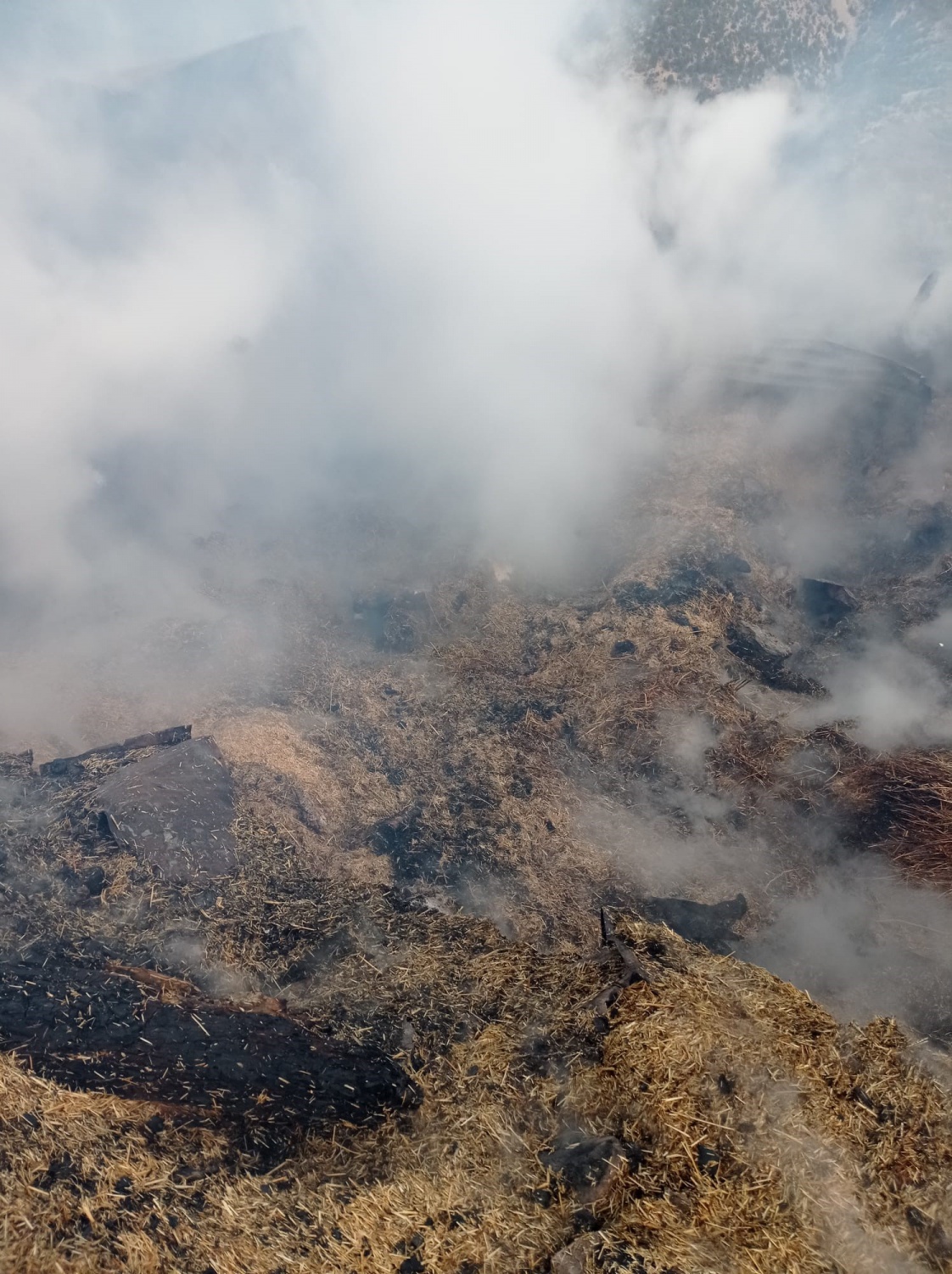 Torul’daki ahır yangınında 9 büyükbaş hayvan telef oldu 2