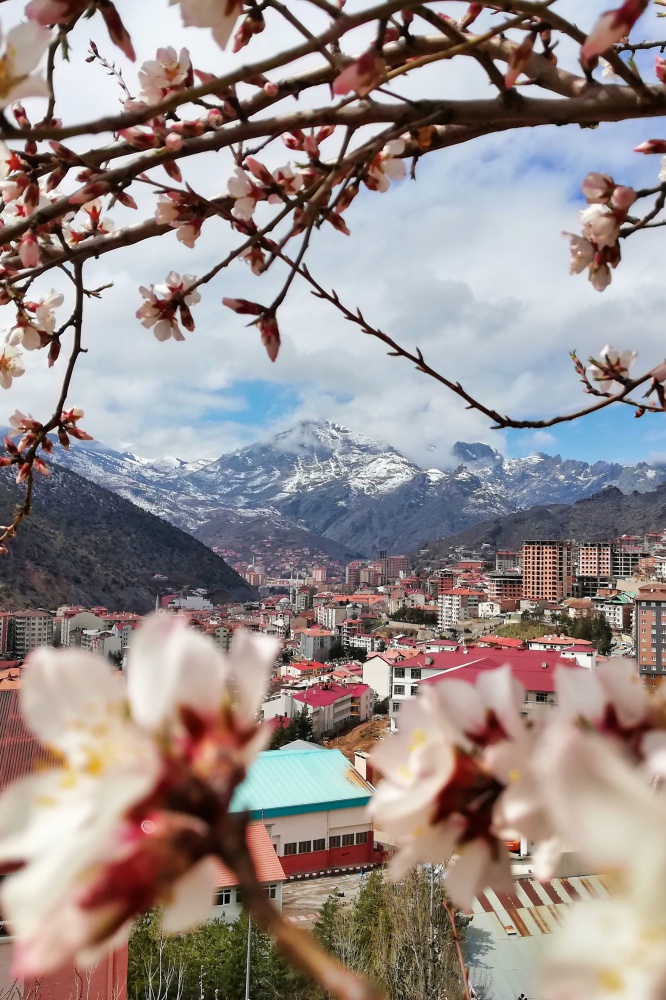 Bu fotoğraflar sosyal medyaya damga vurdu 1