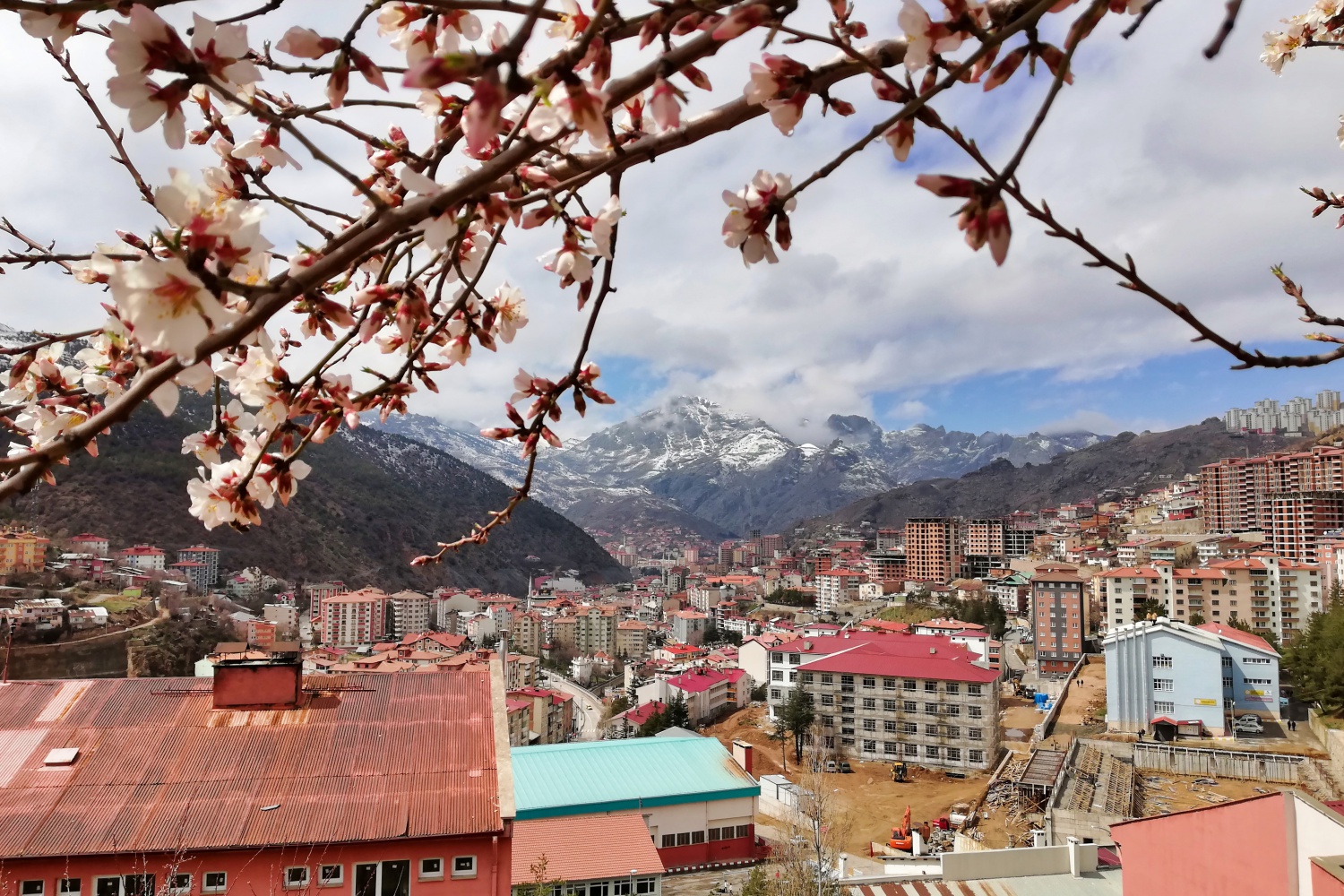 Bu fotoğraflar sosyal medyaya damga vurdu 7