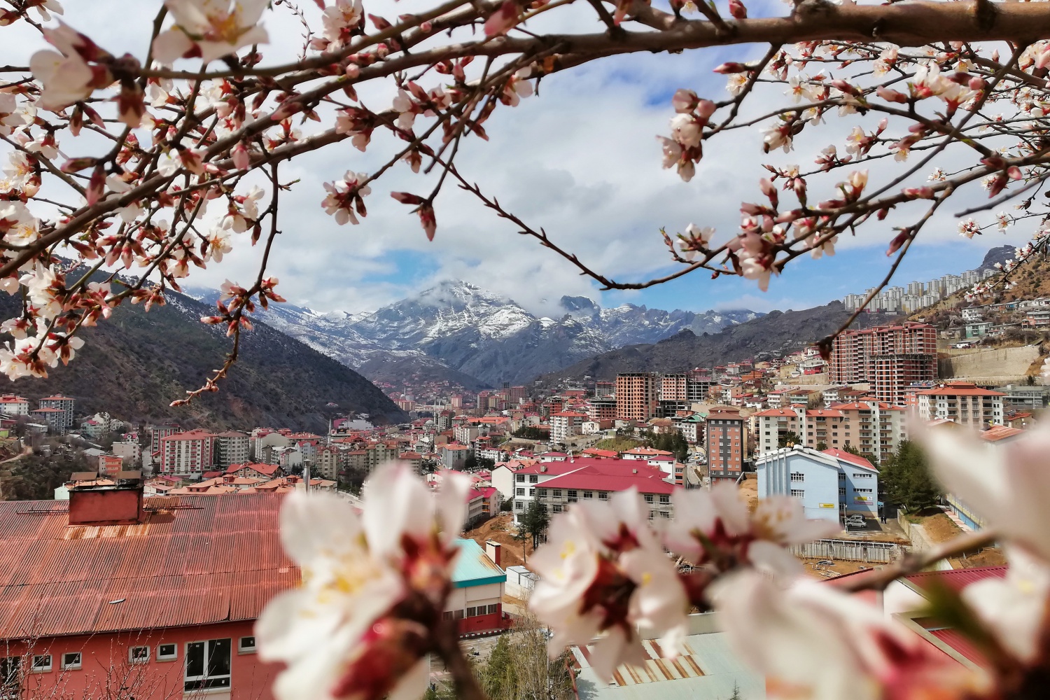 Bu fotoğraflar sosyal medyaya damga vurdu 3