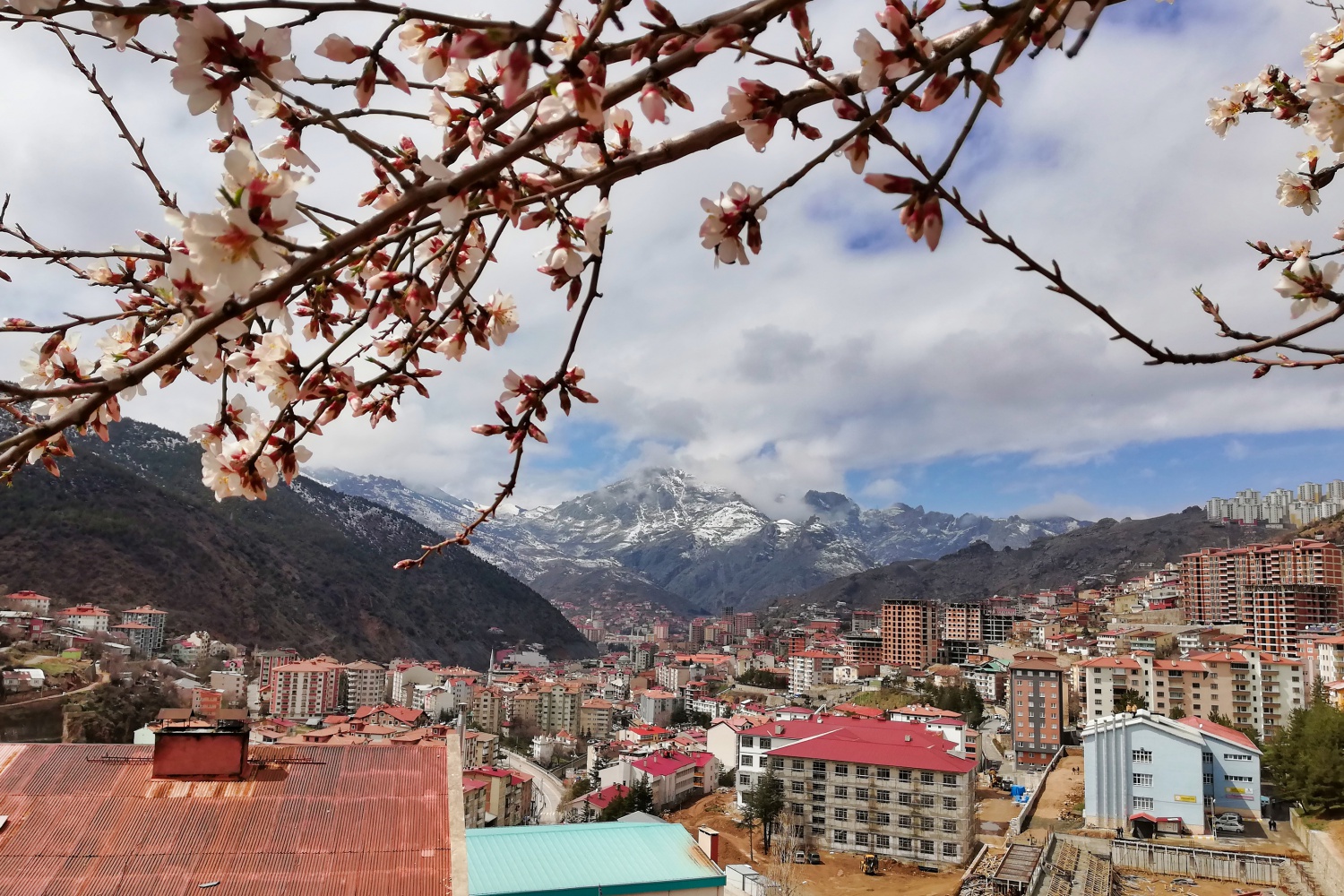 Bu fotoğraflar sosyal medyaya damga vurdu 4