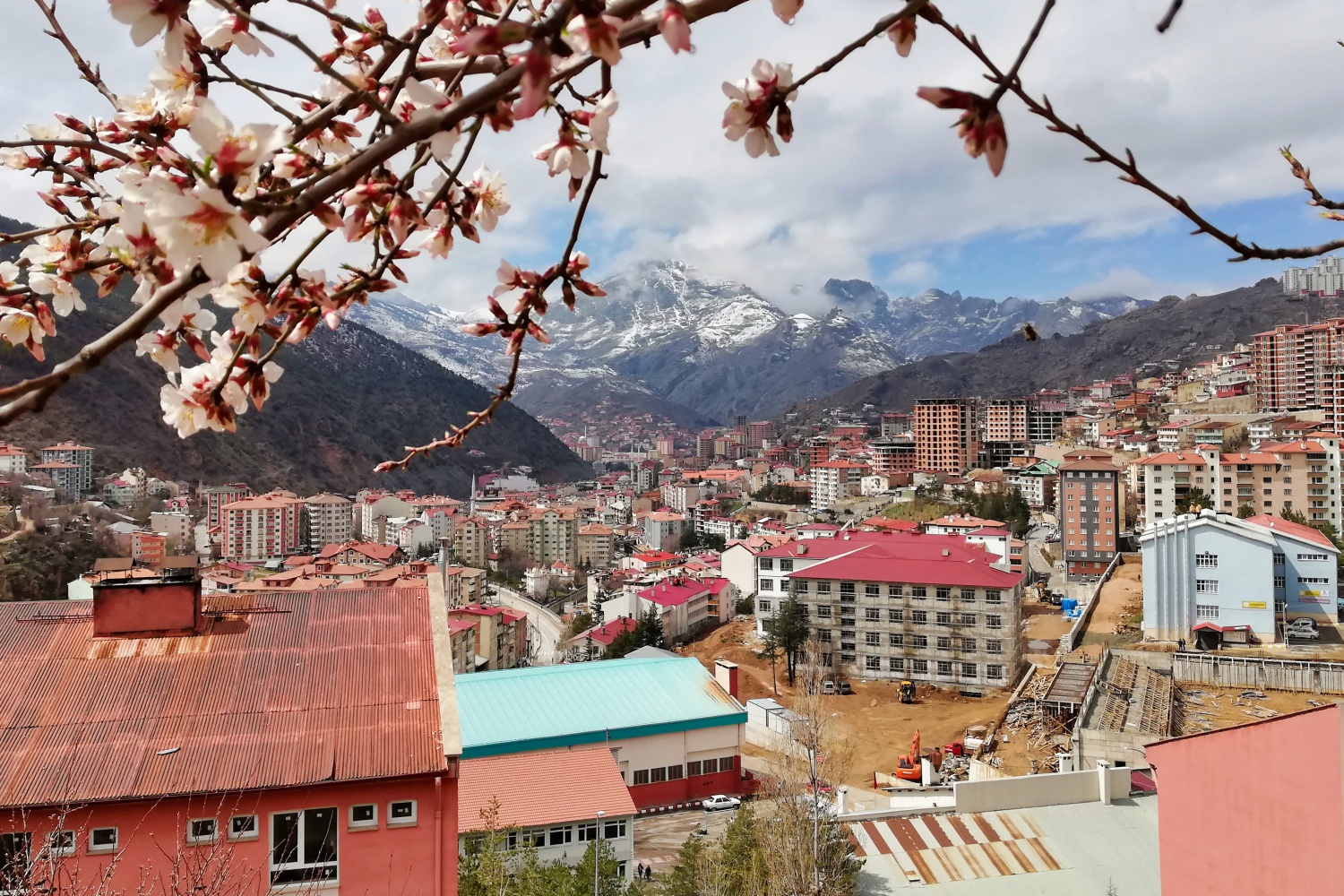Bu fotoğraflar sosyal medyaya damga vurdu 6