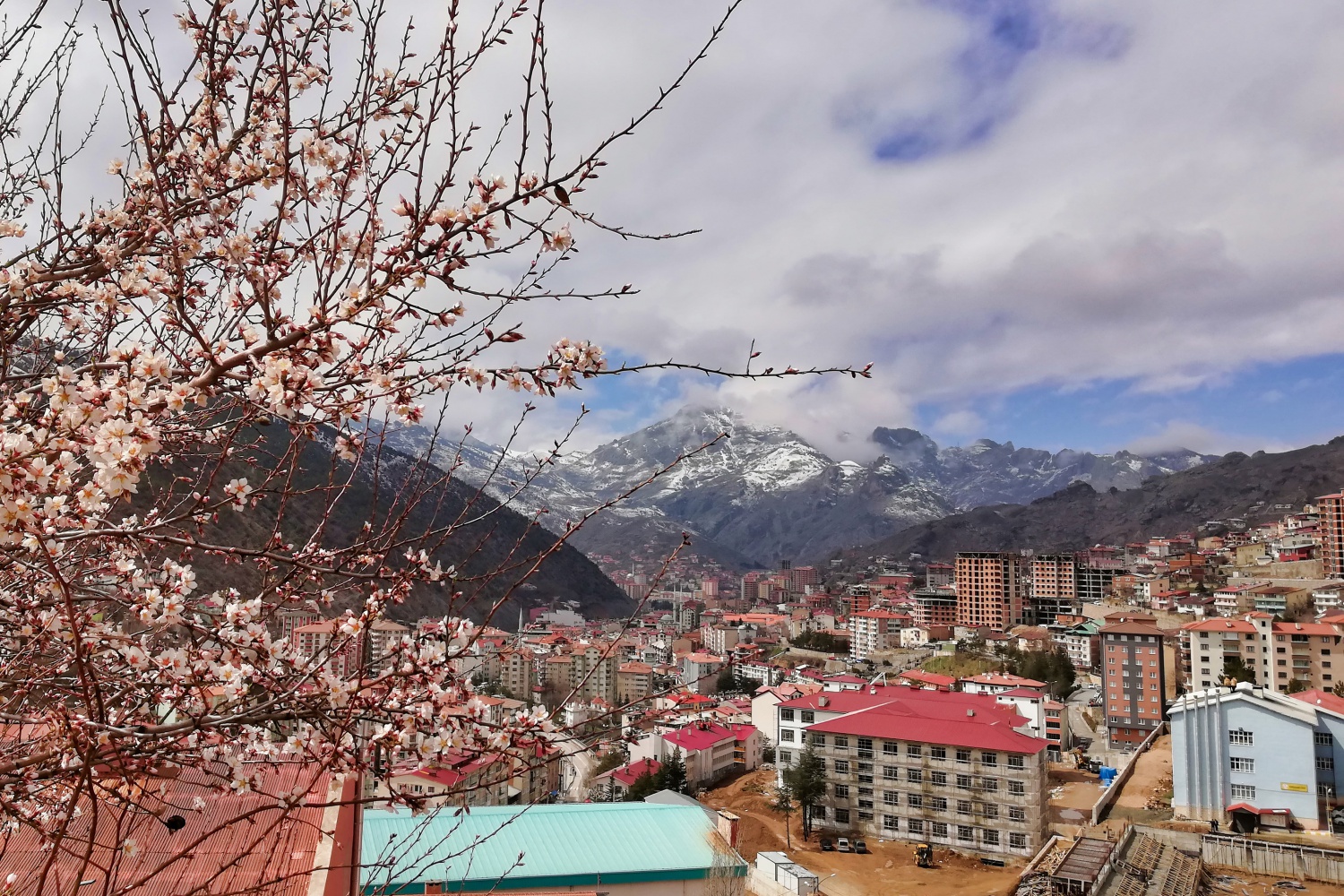 Bu fotoğraflar sosyal medyaya damga vurdu 5