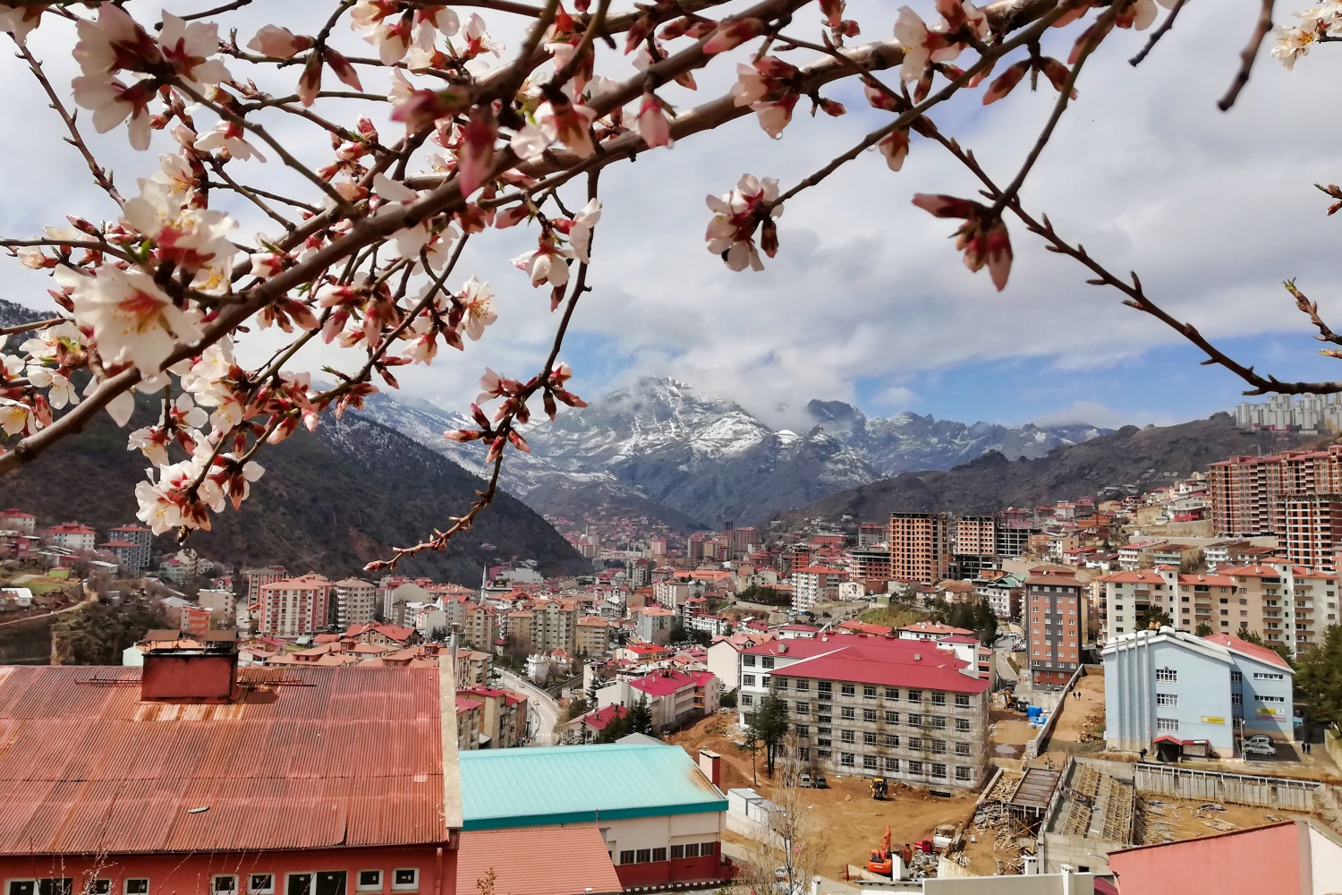 Bu fotoğraflar sosyal medyaya damga vurdu 8