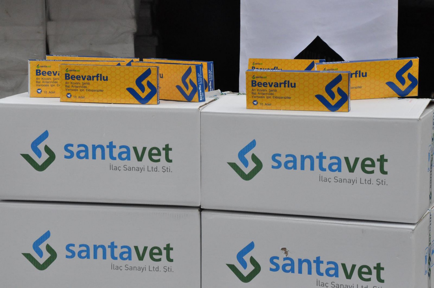 Gümüşhane’de 'Varroa' hastalığına karşı mücadele başlatıldı 1