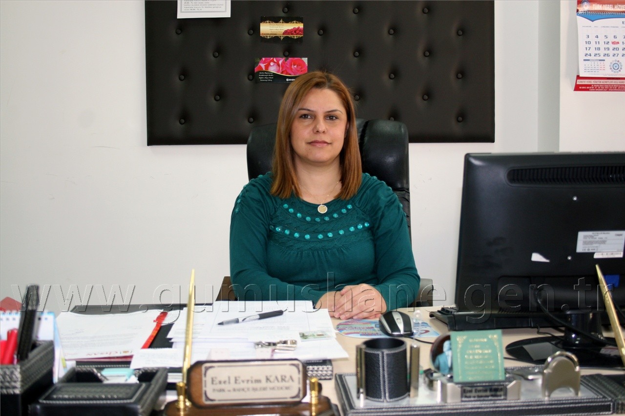 Gümüşhane'de Caddeler Ağaçlandırılıyor 6