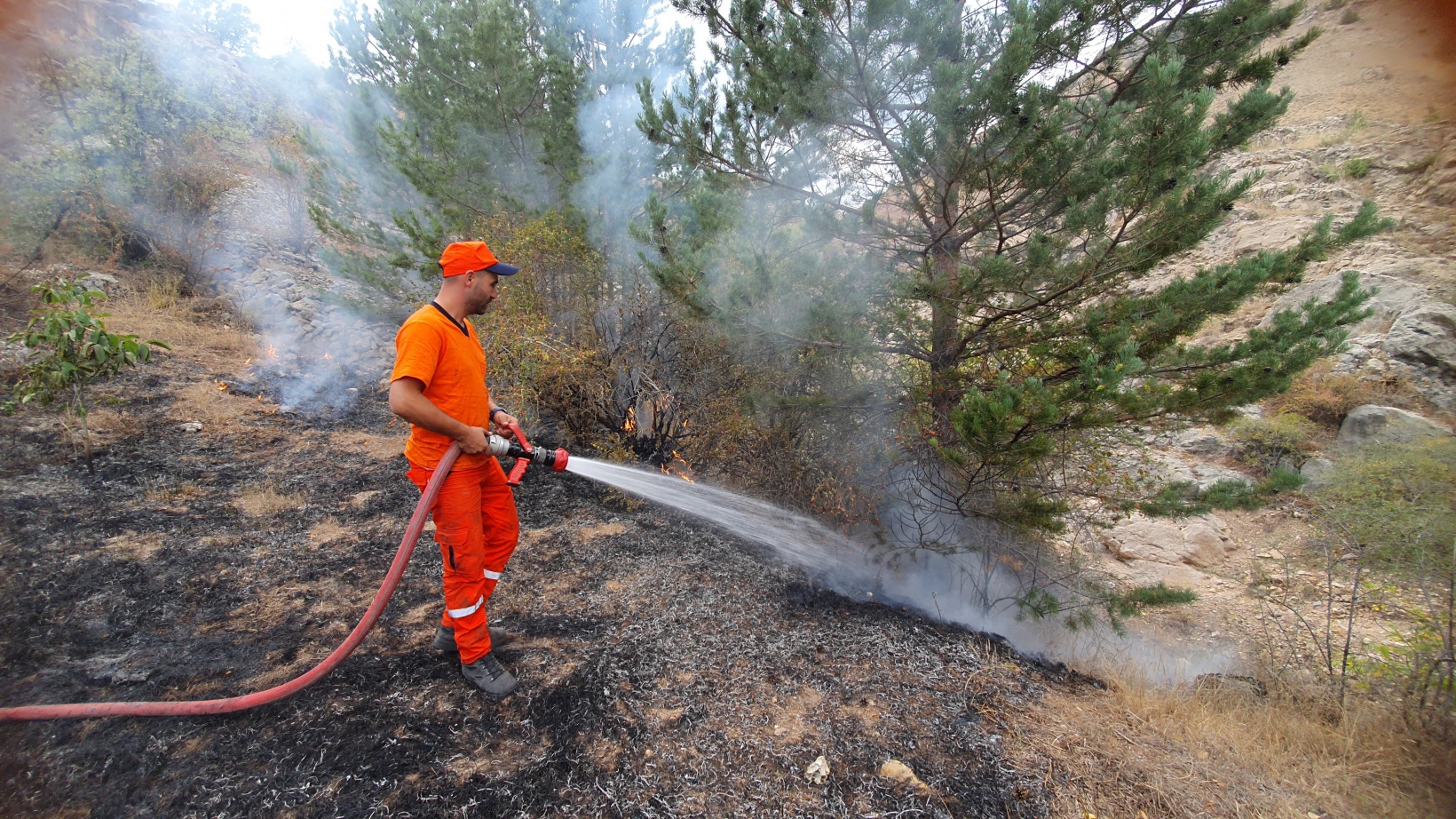 Kopan elektrik teli yangına neden oldu 5