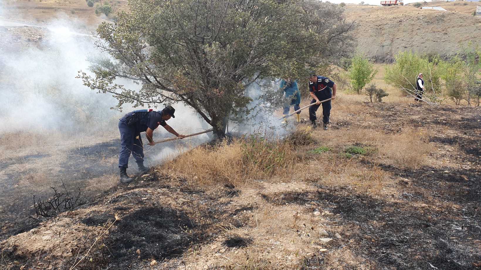 Kopan elektrik teli yangına neden oldu 3