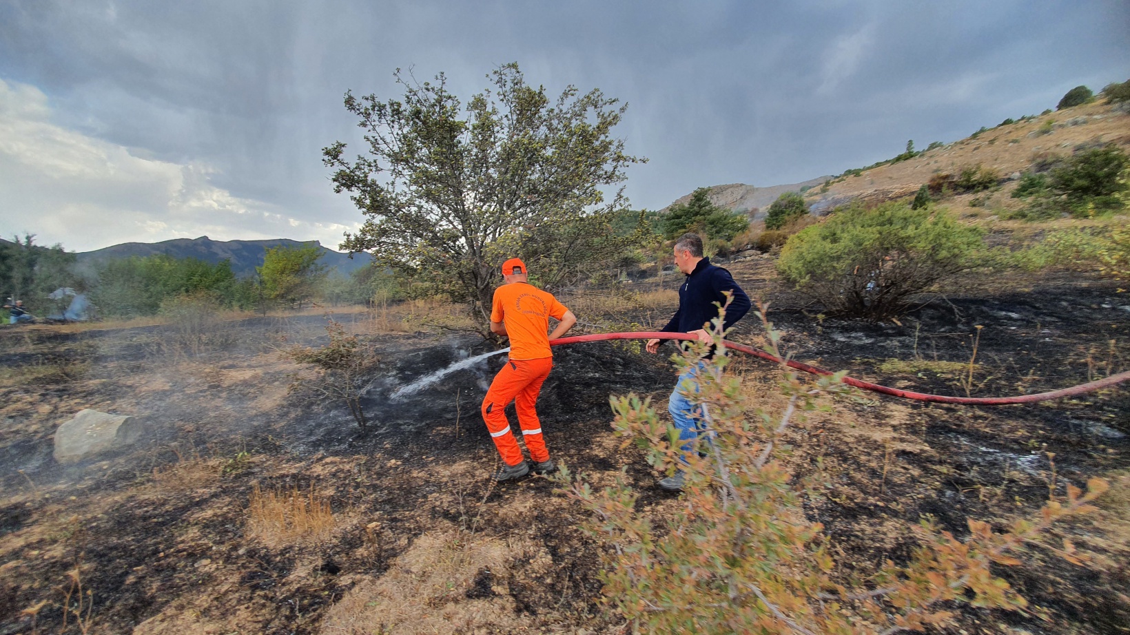 Kopan elektrik teli yangına neden oldu 1