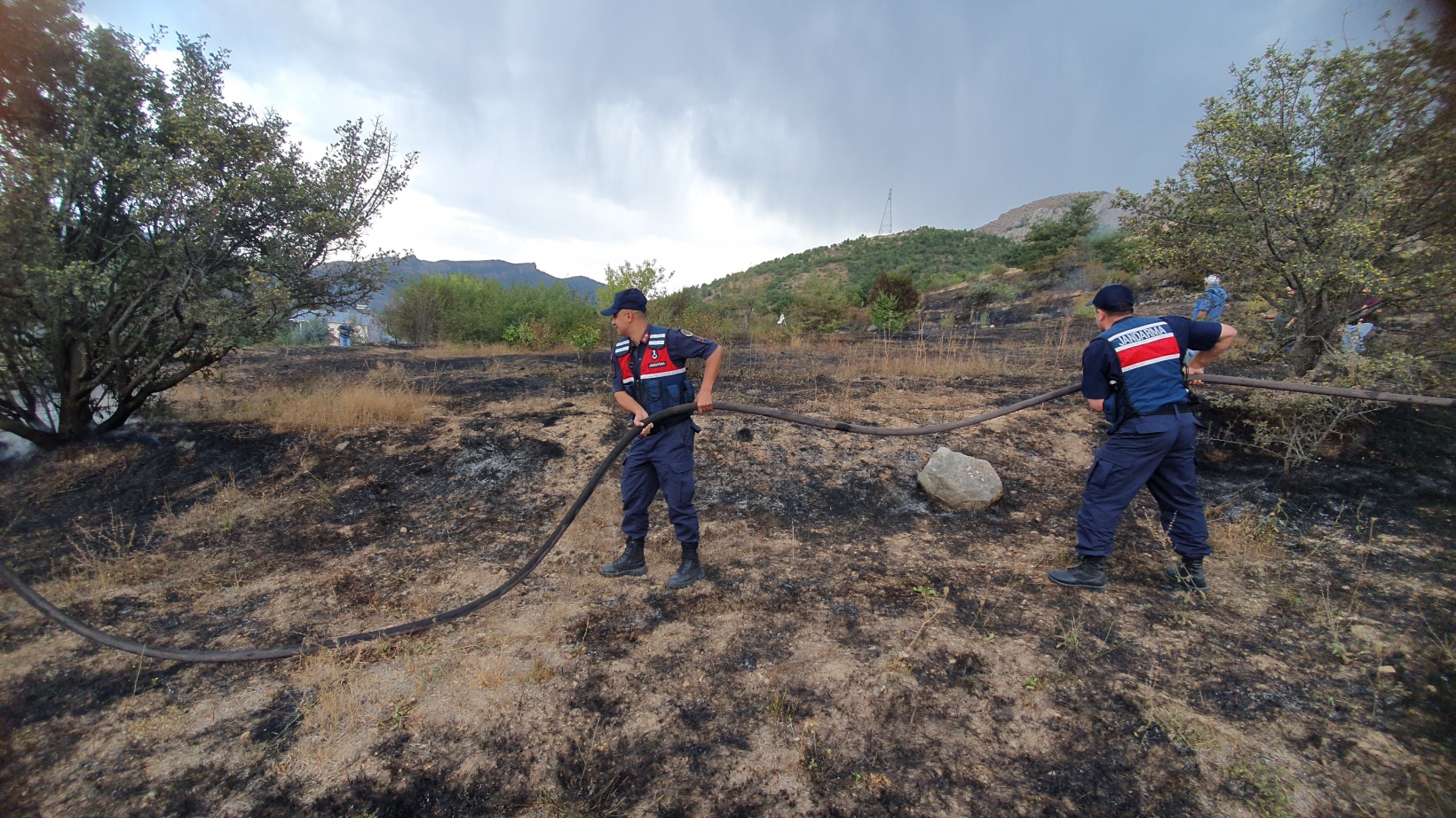 Kopan elektrik teli yangına neden oldu 6