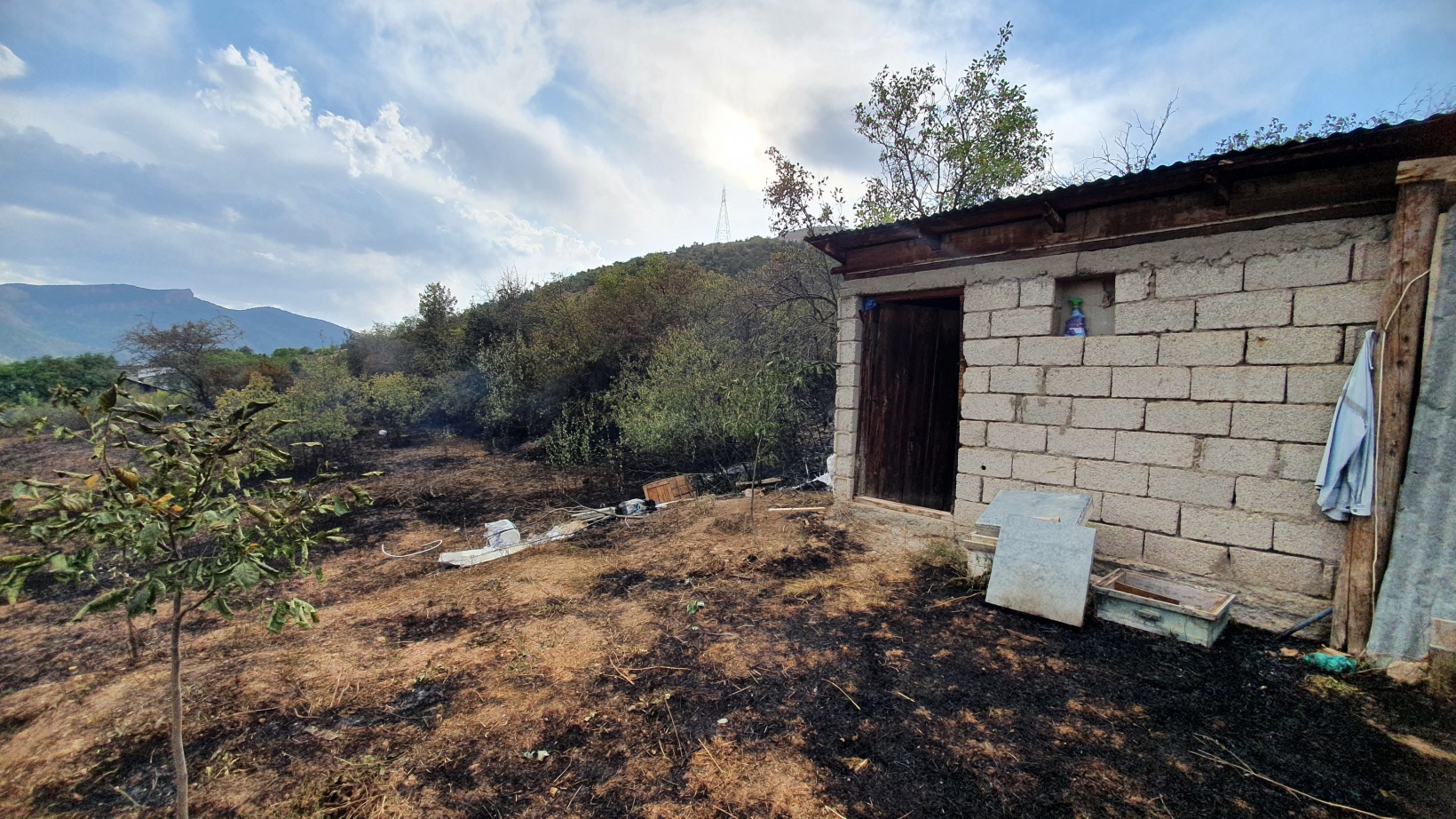 Kopan elektrik teli yangına neden oldu 4