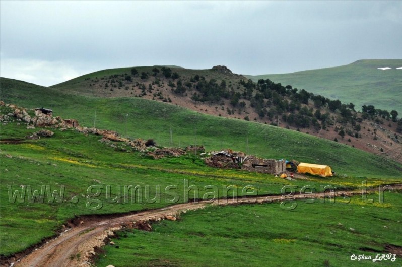 TEMA Vakfı Gümüşhane Dağlarında 45