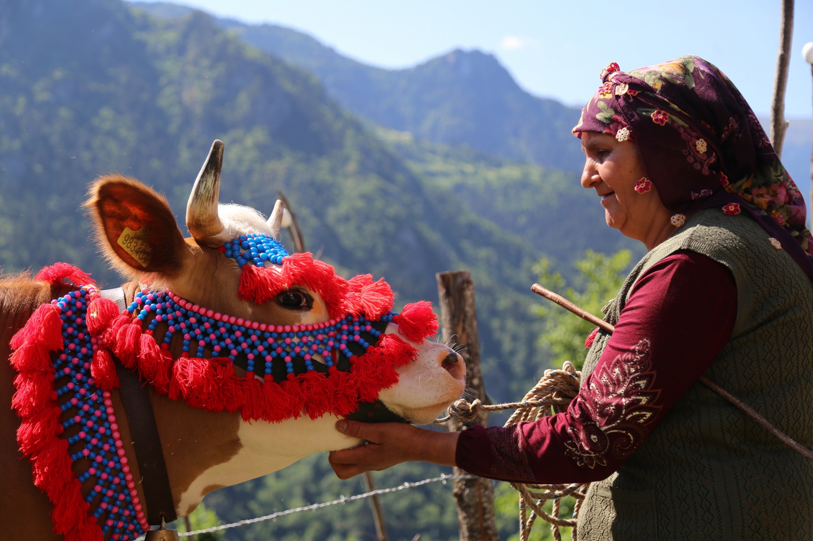 Yayla göçü renkli görüntülerle başladı 5
