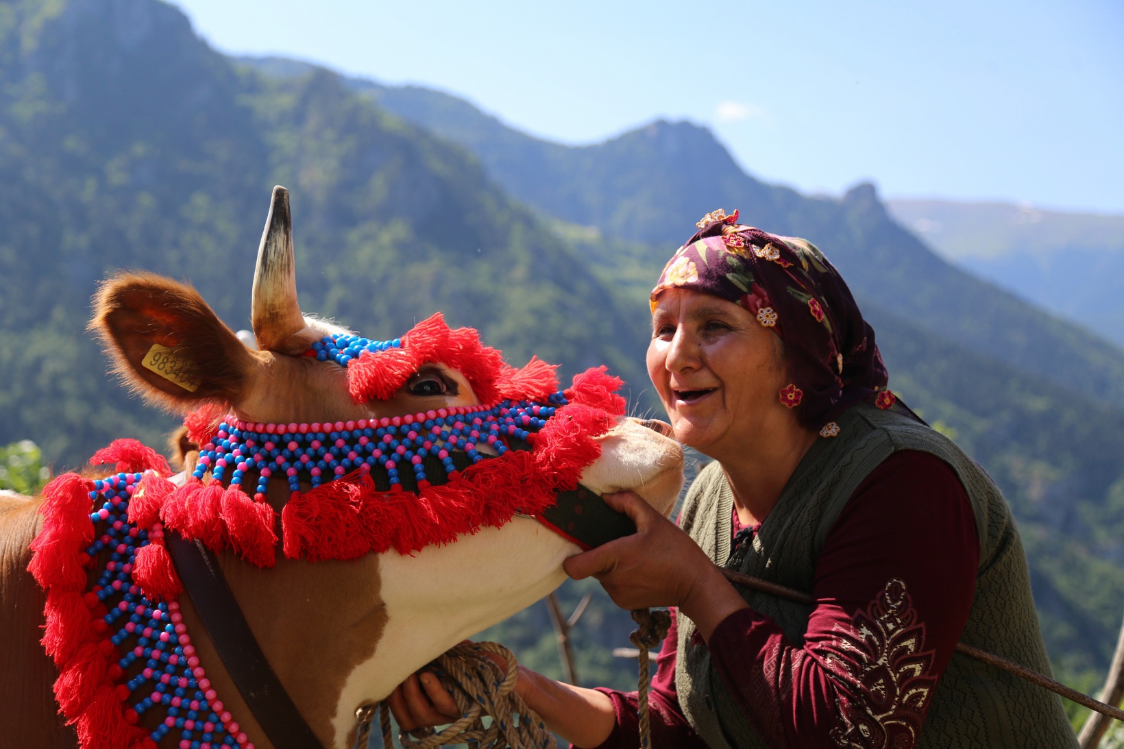 Yayla göçü renkli görüntülerle başladı 4