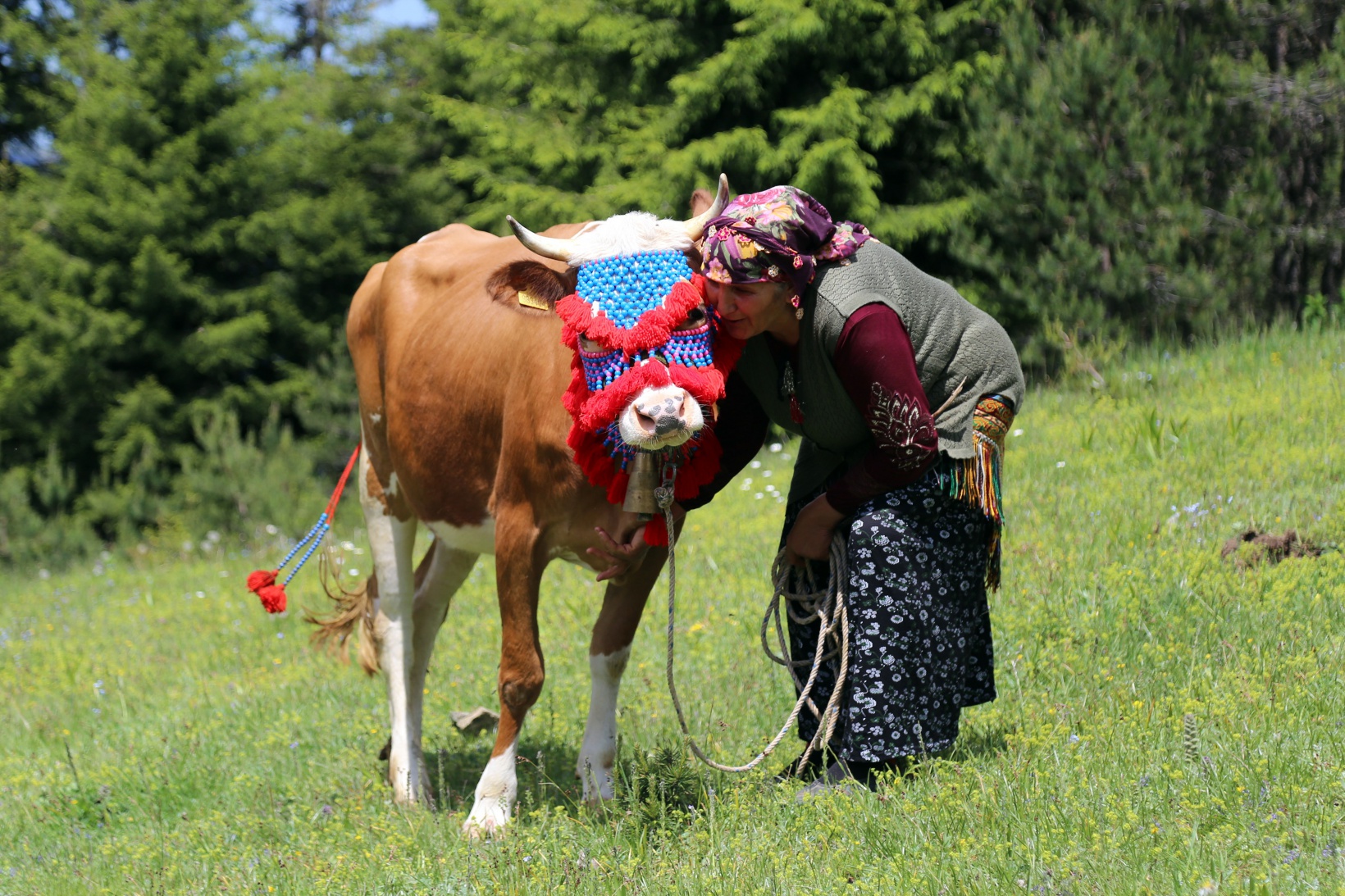 Yayla göçü renkli görüntülerle başladı 6