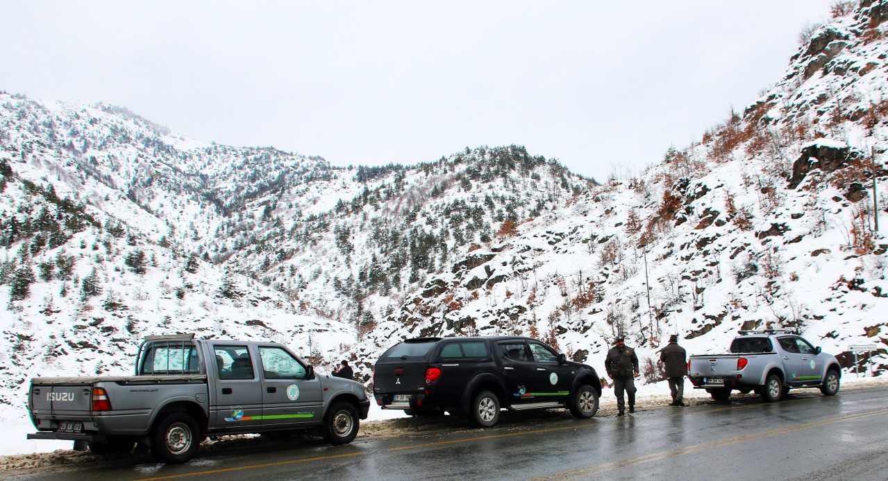 Zigana dağındaki sahipsiz hayvanlara yem bırakıldı 5