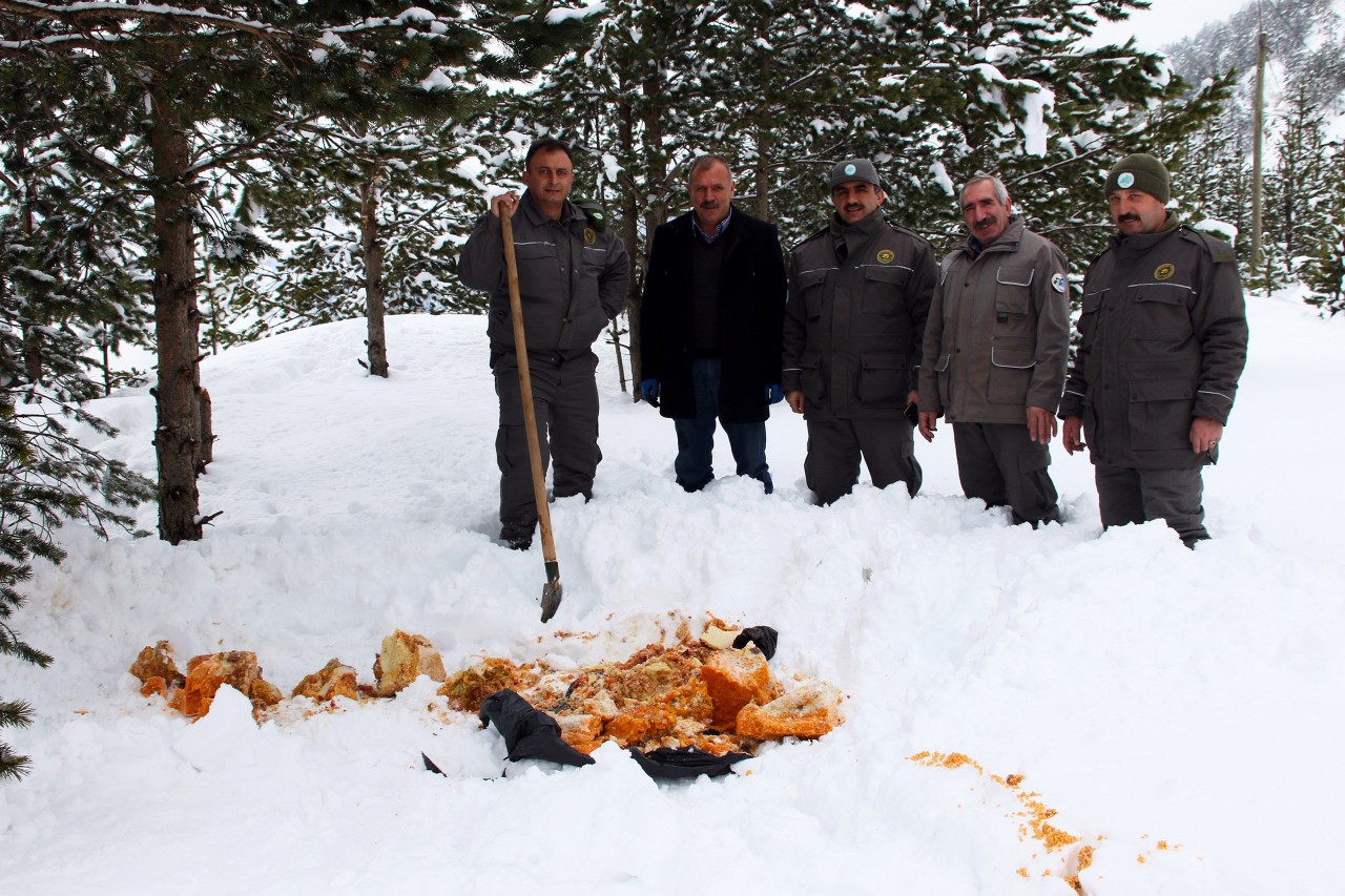 Zigana dağındaki sahipsiz hayvanlara yem bırakıldı 4