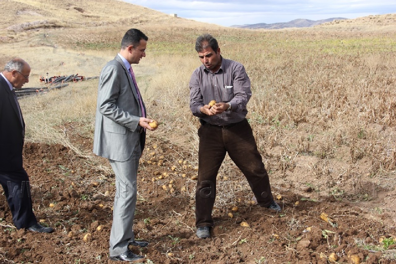 Övünce'den Patates Fışkırıyor 1