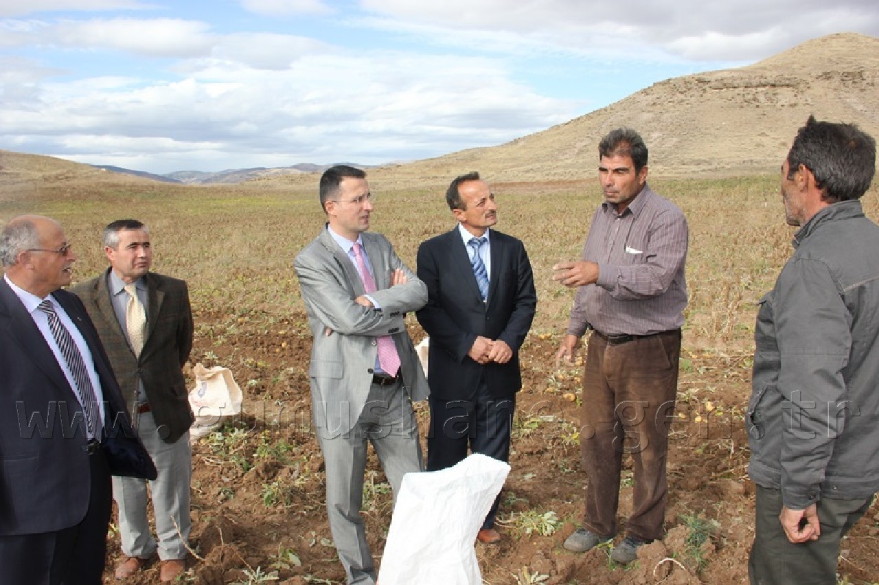 Övünce'den Patates Fışkırıyor 10