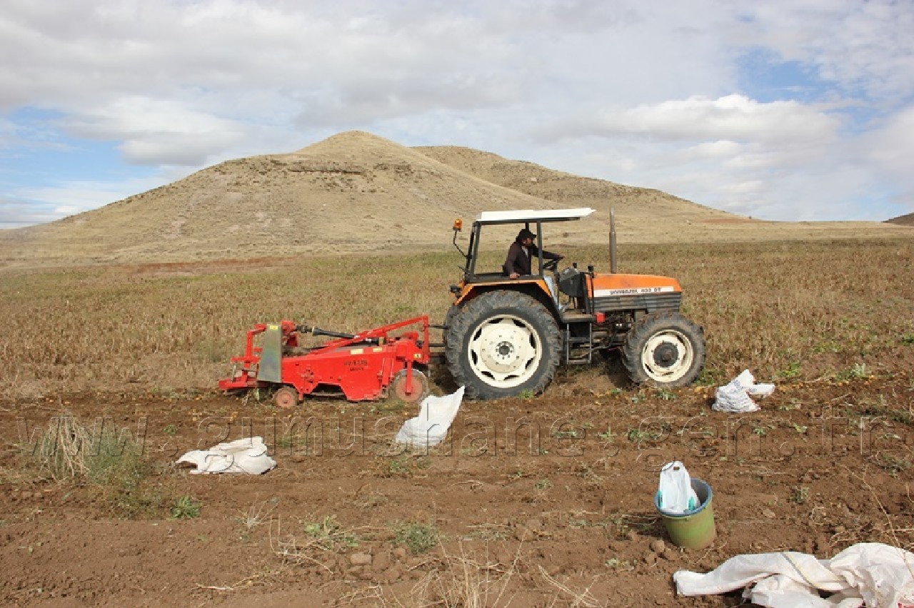 Övünce'den Patates Fışkırıyor 3