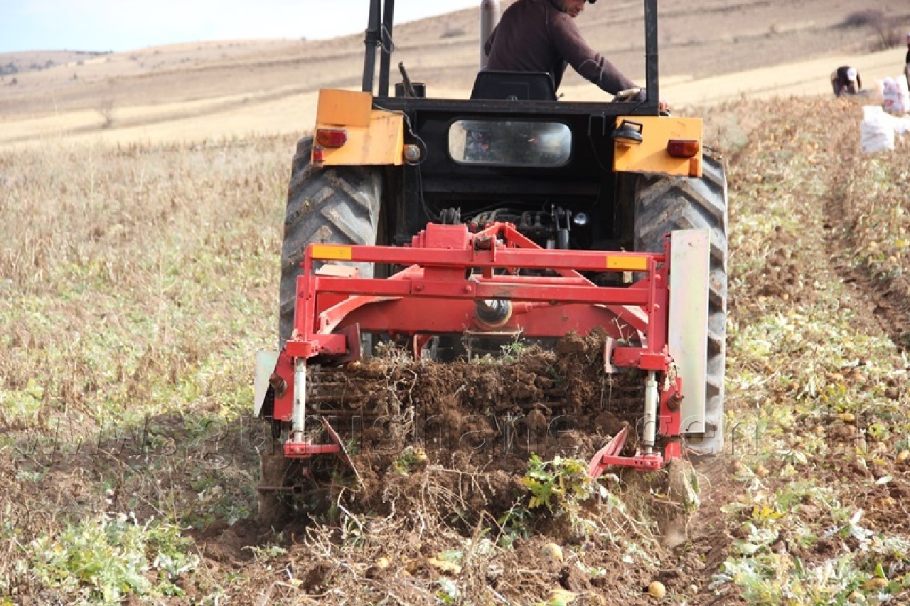 Övünce'den Patates Fışkırıyor 4