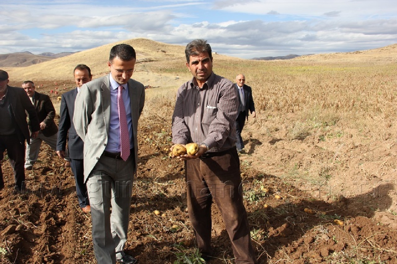 Övünce'den Patates Fışkırıyor 7