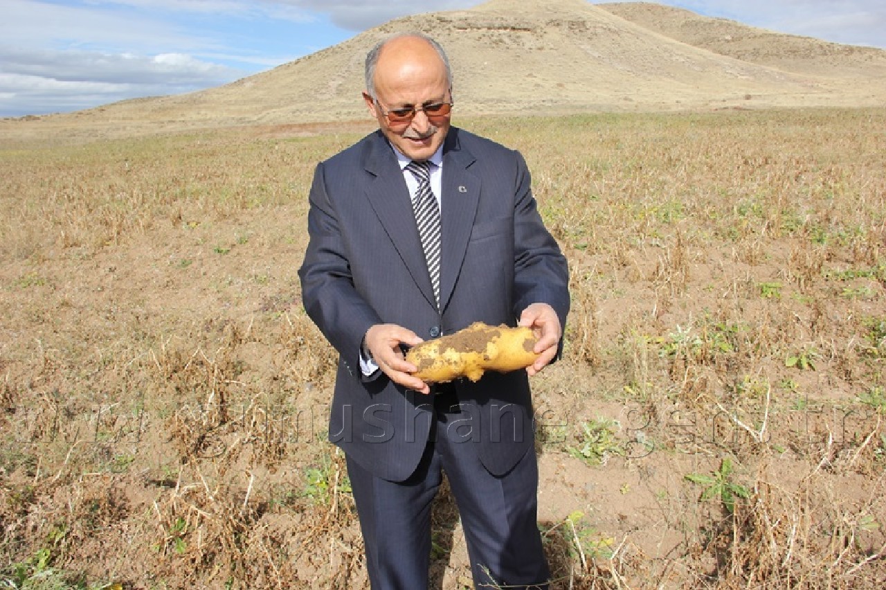 Övünce'den Patates Fışkırıyor 8