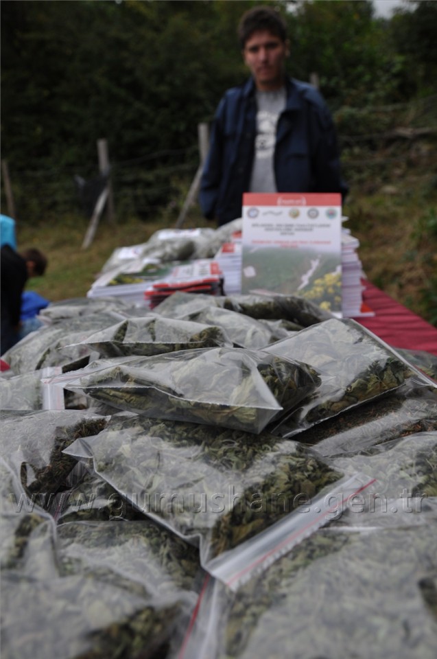 Uluköy'de Tıbbi ve Aromatik Bitkiler Hasat Şenliği  5