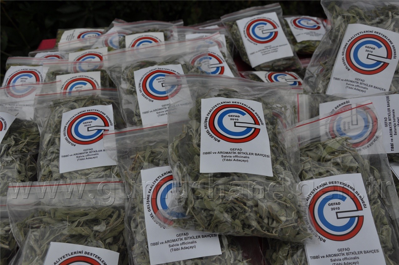 Uluköy'de Tıbbi ve Aromatik Bitkiler Hasat Şenliği  6