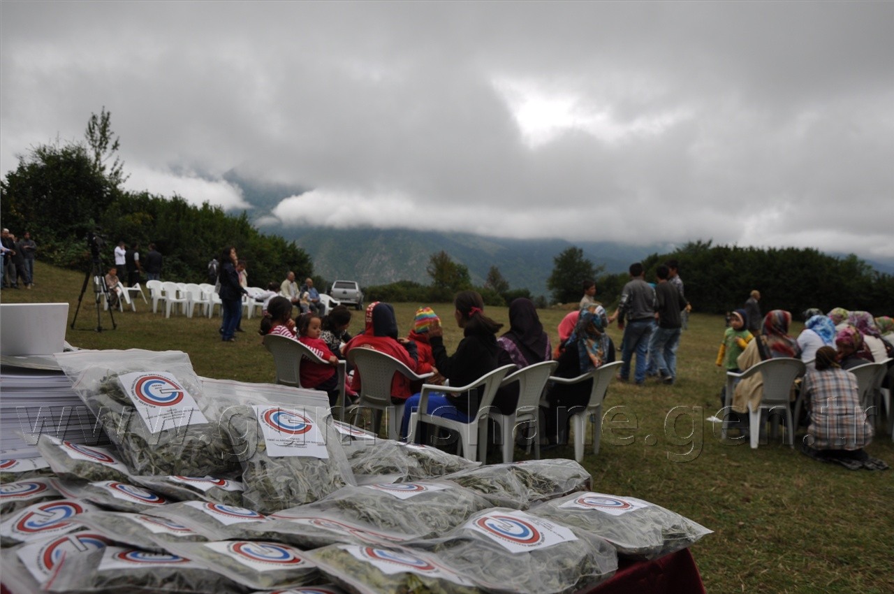Uluköy'de Tıbbi ve Aromatik Bitkiler Hasat Şenliği  7