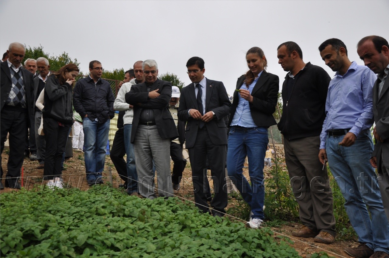 Uluköy'de Tıbbi ve Aromatik Bitkiler Hasat Şenliği  12