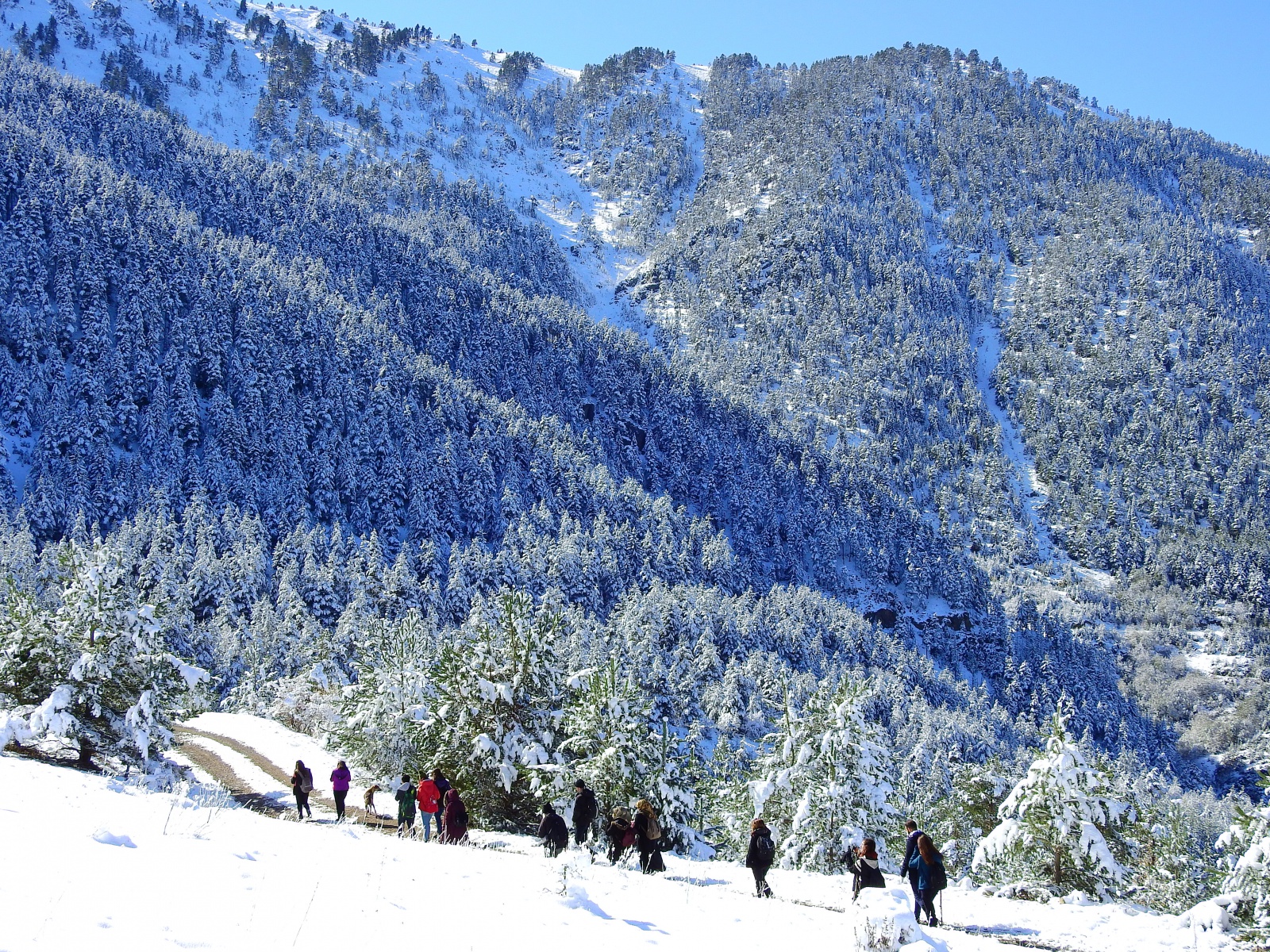Gümüşhaneli dağcılar Zigana’da sonbahar ve kışı bir arada yaşadı 21