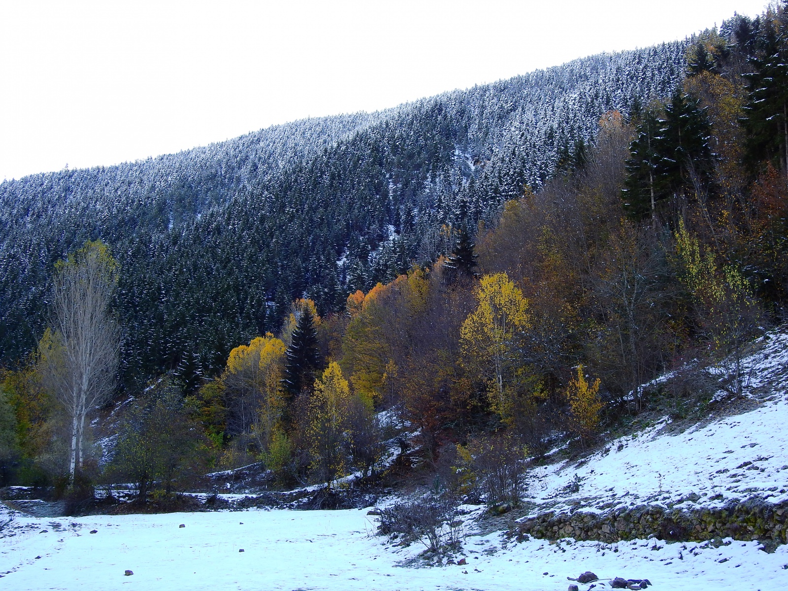 Gümüşhaneli dağcılar Zigana’da sonbahar ve kışı bir arada yaşadı 29