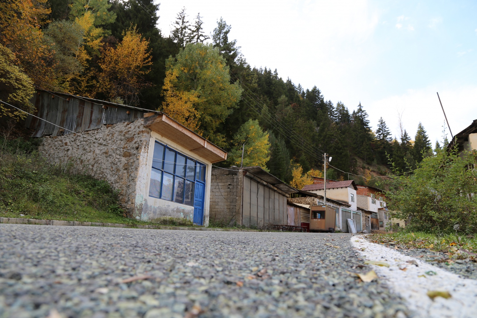 Zigana dağında renk cümbüşü 13