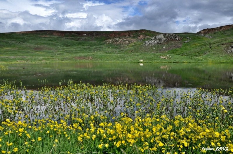 TEMA Vakfı Gümüşhane Dağlarında 51