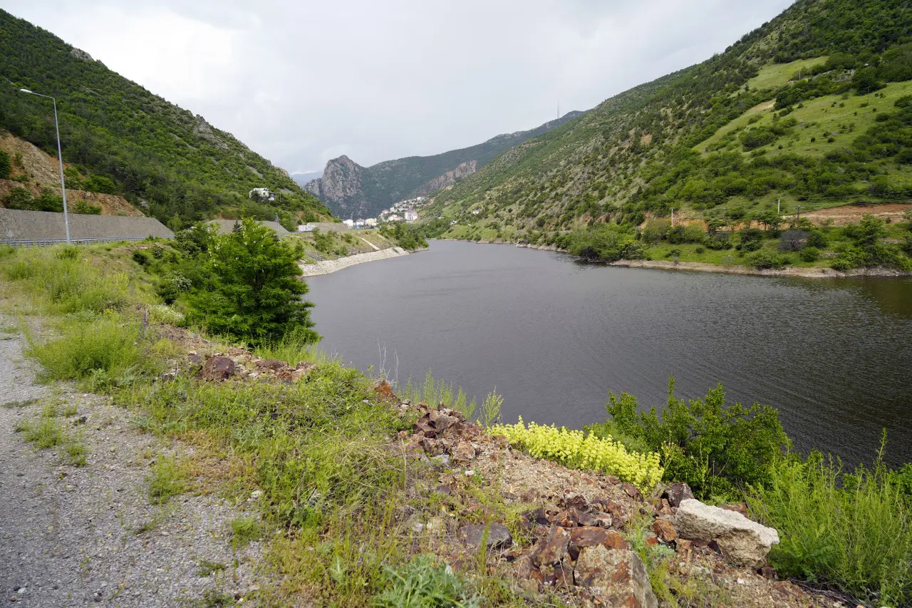 Torul Baraj Gölü'nde alg patlaması 1