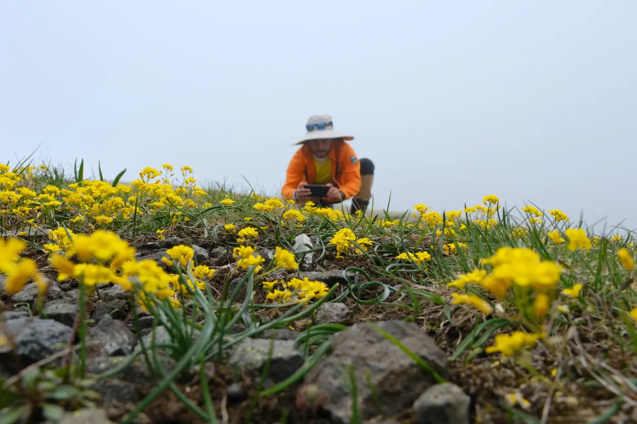 GÜDAK’tan Gençlik Haftası’na Özel Doğa Yürüyüşü ve Kamp Etkinliği! 8