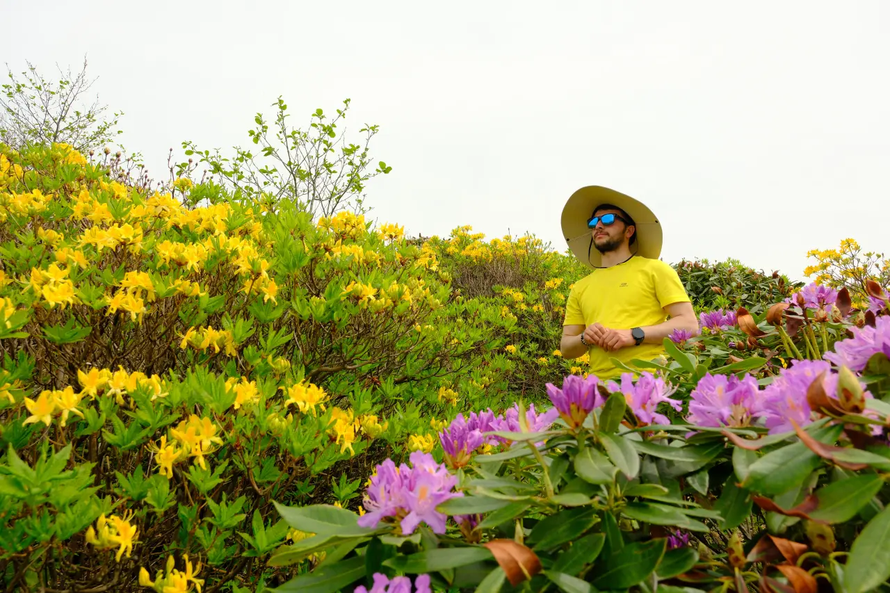 GÜDAK’tan Gençlik Haftası’na Özel Doğa Yürüyüşü ve Kamp Etkinliği! 3