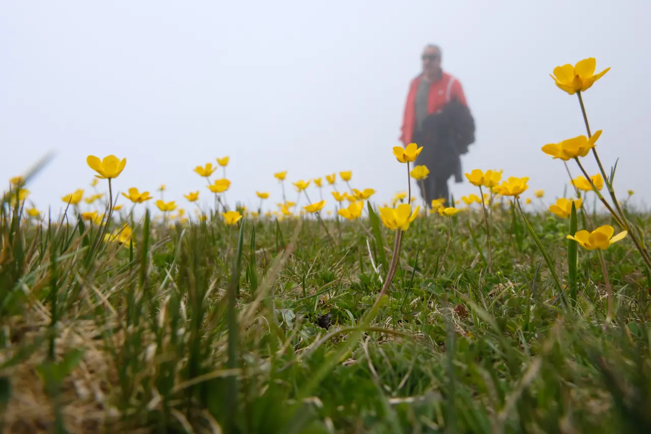 GÜDAK’tan Gençlik Haftası’na Özel Doğa Yürüyüşü ve Kamp Etkinliği! 6