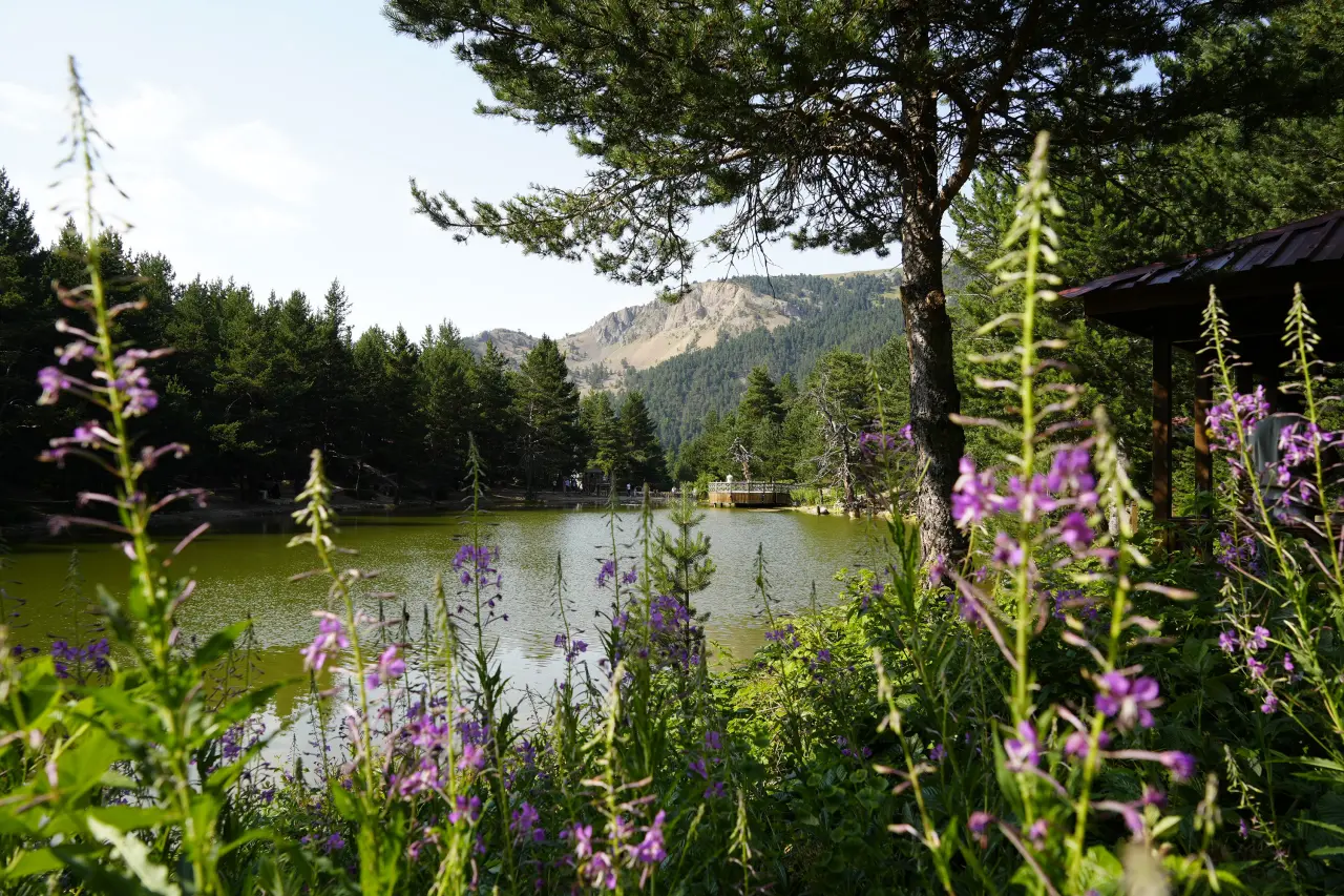 Tropikal sıcaklardan bunalanlar soluğu Limni Gölü’nde aldı 1