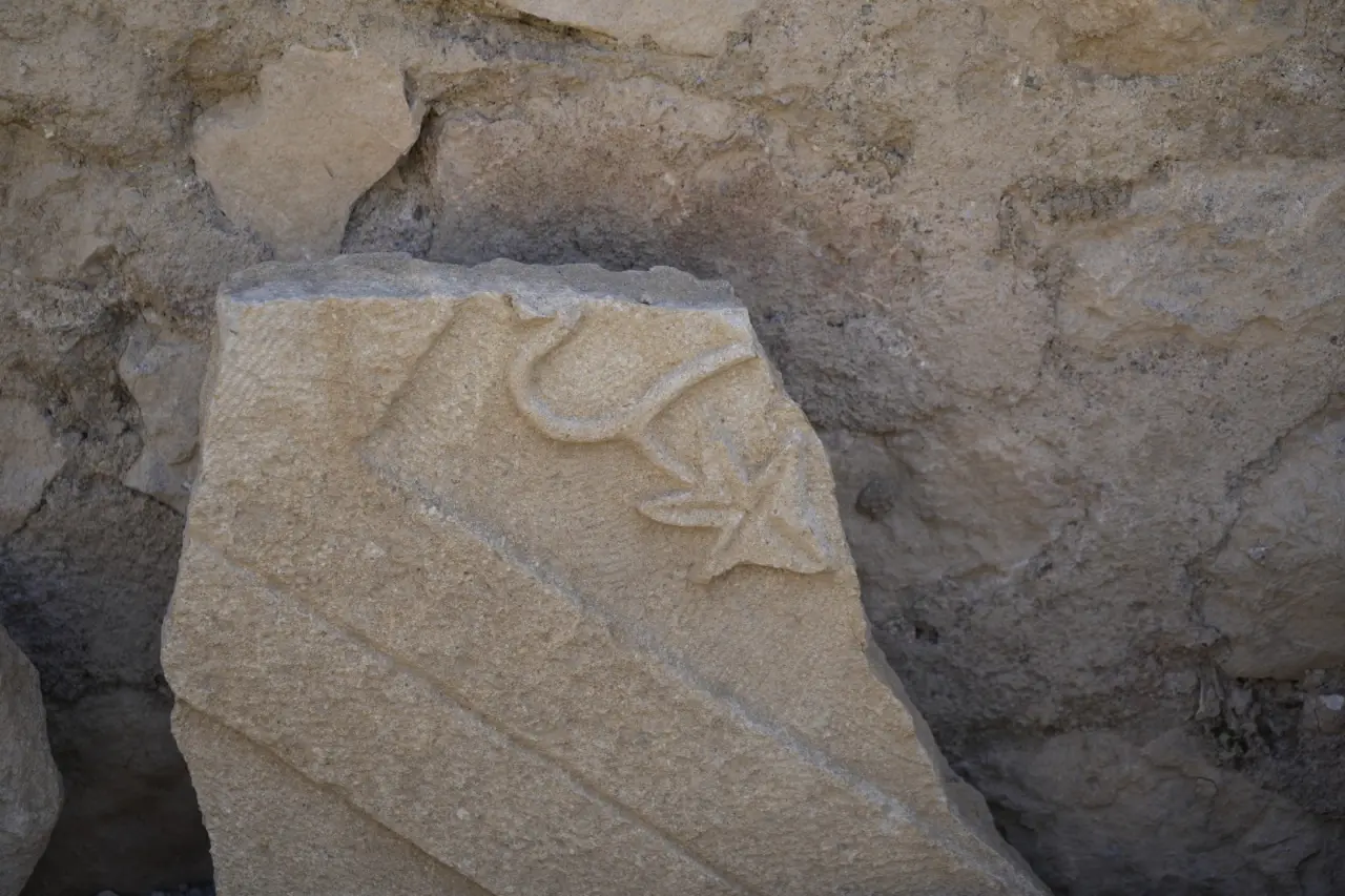 Anadolu’nun en narin kadın iskeletleri Satala’da ortaya çıktı 9