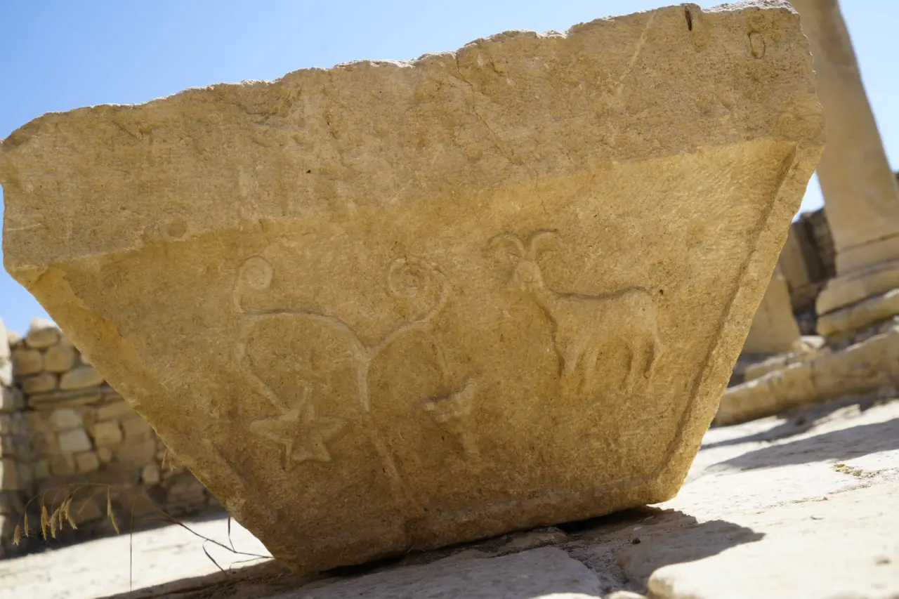 Anadolu’nun en narin kadın iskeletleri Satala’da ortaya çıktı 13